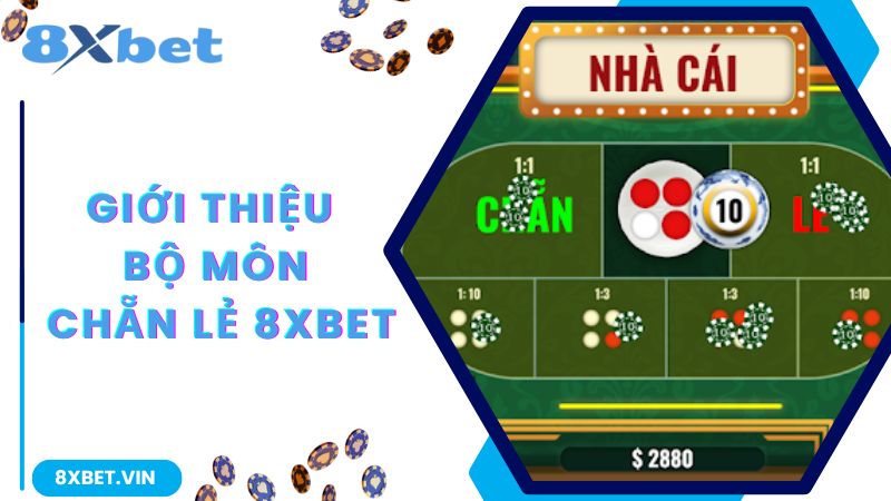Khám phá game chẵn lẻ