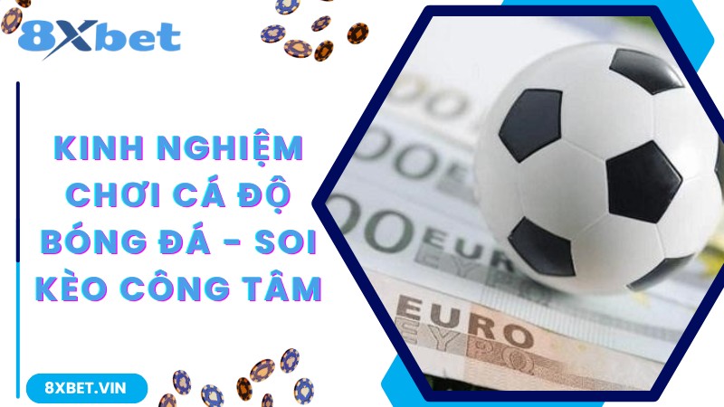 Bật Mí Kinh Nghiệm Chơi Cá Độ Bóng Đá Thắng Lớn Tại 8Xbet 2 Kinh nghiệm chơi cá độ bóng đá - soi kèo công tâm